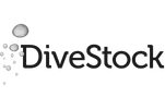 divestock logo divestock logo arvo partners